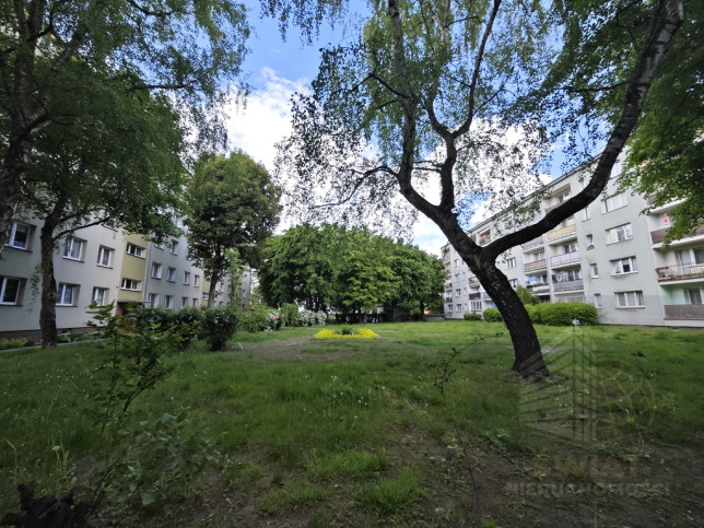 Mieszkanie Sprzedaż Szczecin Śródmieście-Centrum Odzieżowa 15