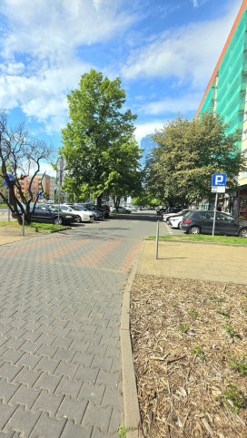 Mieszkanie Sprzedaż Szczecin Centrum al.&nbsp;Wyzwolenia 19