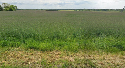 Działka Sprzedaż Maszewo