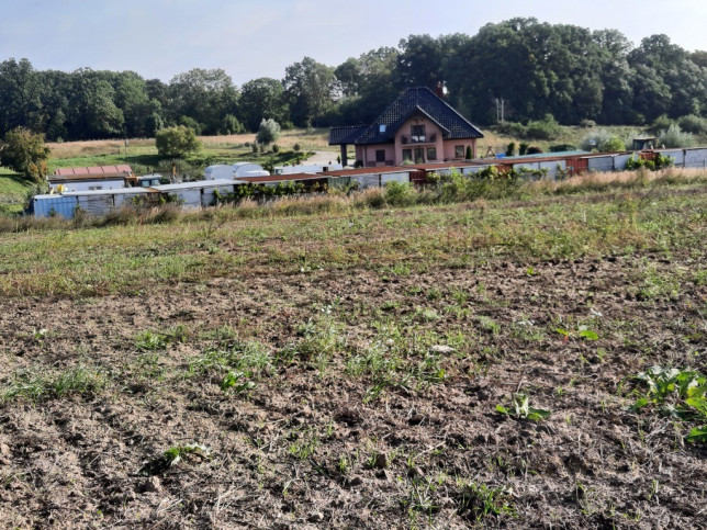 Działka Sprzedaż Kurów Na Klifie 10