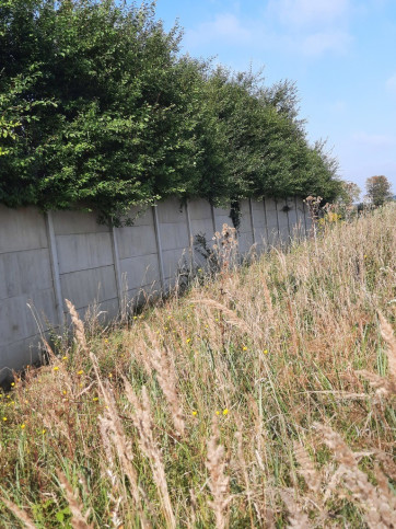 Działka Sprzedaż Kurów Na Klifie 15