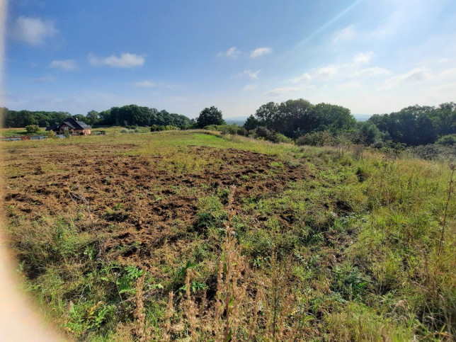 Działka Sprzedaż Kurów Na Klifie 18