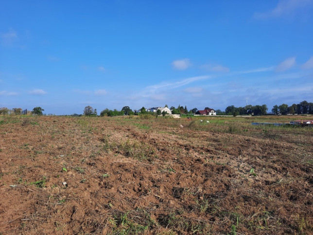 Działka Sprzedaż Kurów Na Klifie 19
