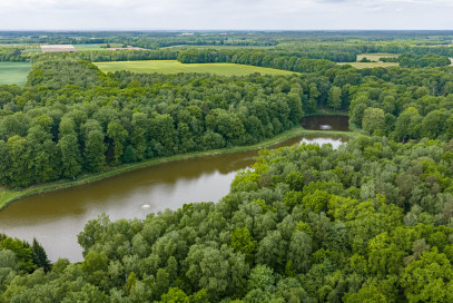 Działka Sprzedaż Wisławie