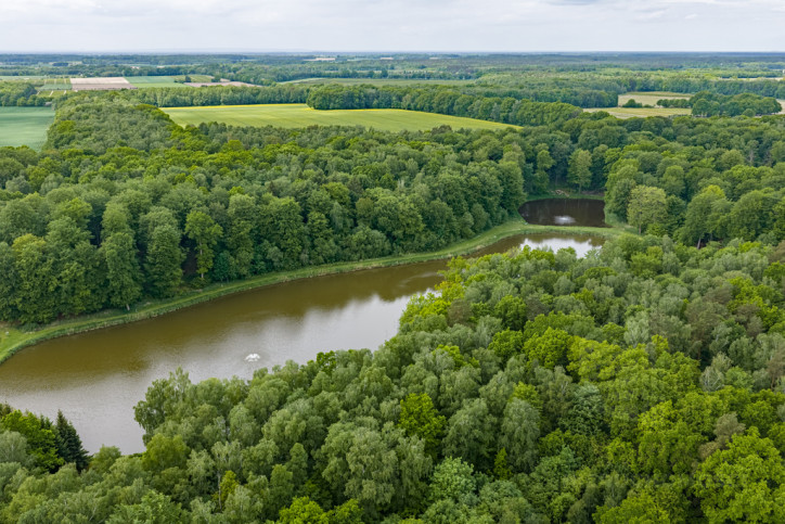 Działka Sprzedaż Wisławie 9