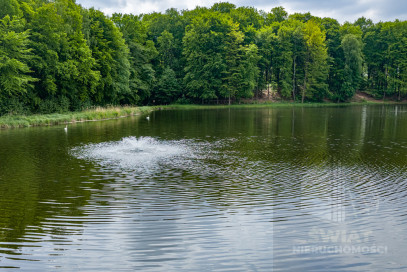 Działka Sprzedaż Wisławie