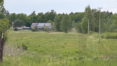 Działka Sprzedaż Drogoradz