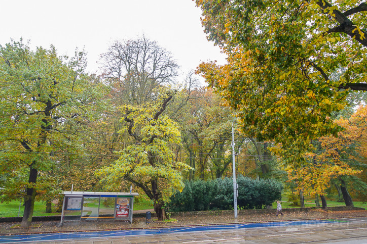 Mieszkanie Sprzedaż Szczecin Śródmieście Jacka Malczewskiego 41