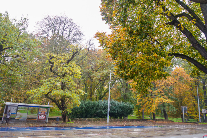 Mieszkanie Sprzedaż Szczecin Śródmieście Jacka Malczewskiego 43