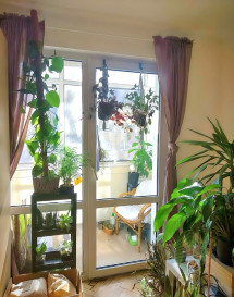 Mieszkanie Sprzedaż Szczecin Śródmieście Herbowa