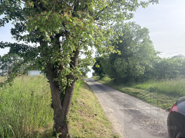 Działka Sprzedaż Przęsocin 2