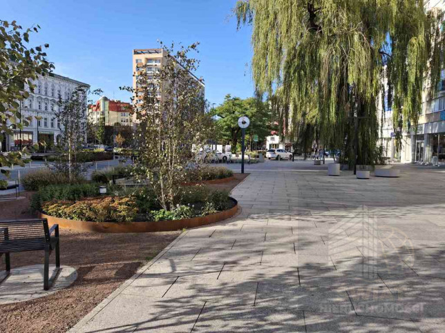 Lokal Wynajem Szczecin Centrum Aleja Wojska Polskiego 5