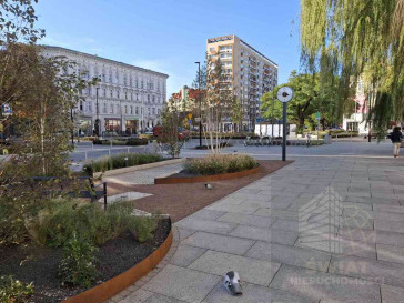 Lokal Wynajem Szczecin Centrum Aleja Wojska Polskiego