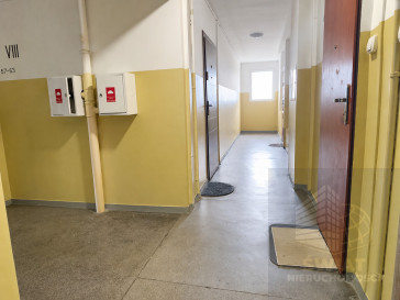 Mieszkanie Sprzedaż Szczecin Niebuszewo Adama Asnyka