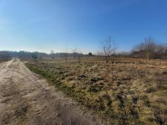 Działka Sprzedaż Łaniewo 4