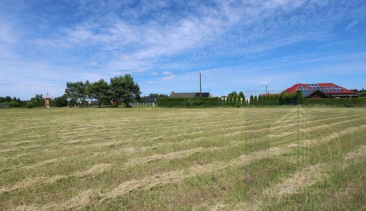 Działka Sprzedaż Żdżary 6