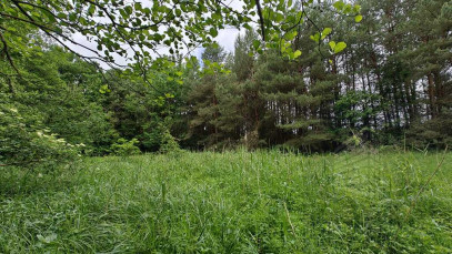 Działka Sprzedaż Nowogard
