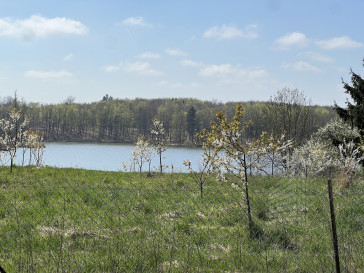 Dom Sprzedaż Linówko