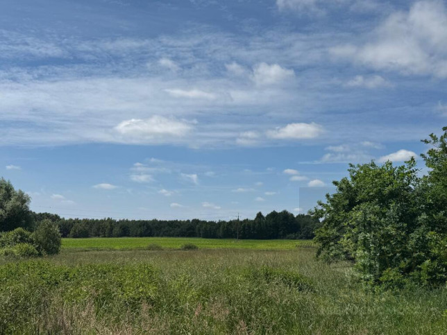 Działka Sprzedaż Krasnołęka 10