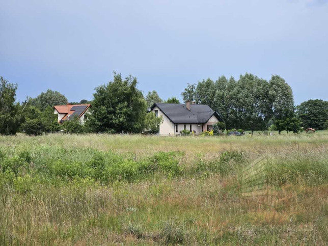 Działka Sprzedaż Łęgi 1