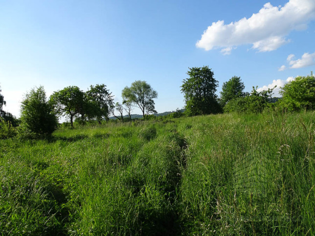 Działka Sprzedaż Binowo 1