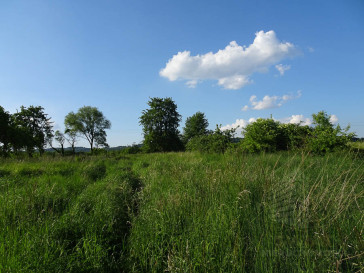 Działka Sprzedaż Binowo