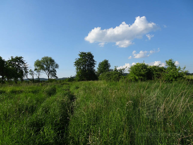 Działka Sprzedaż Binowo 3