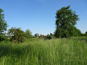 Działka Sprzedaż Binowo