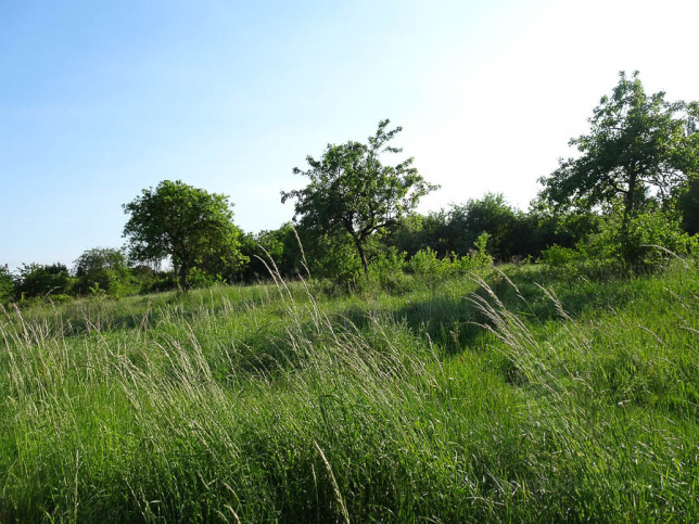 Działka Sprzedaż Binowo 12
