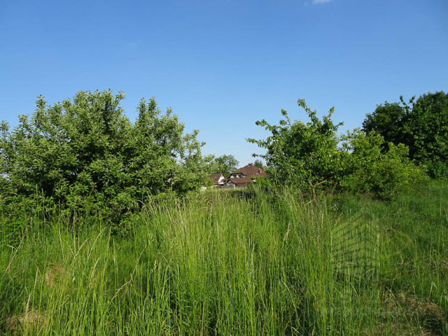 Działka Sprzedaż Binowo 13