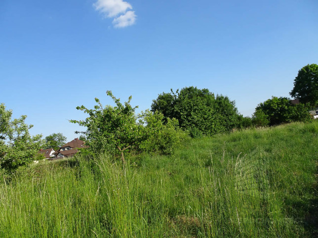 Działka Sprzedaż Binowo 14