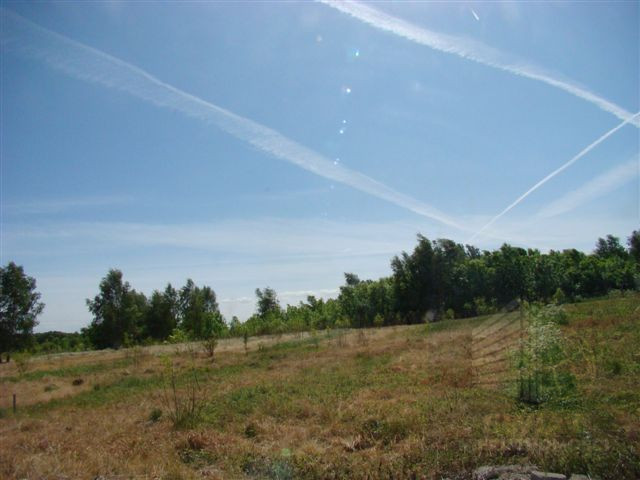 Działka Sprzedaż Stargard 4