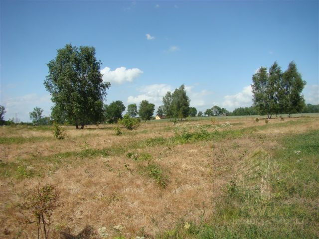 Działka Sprzedaż Stargard 8