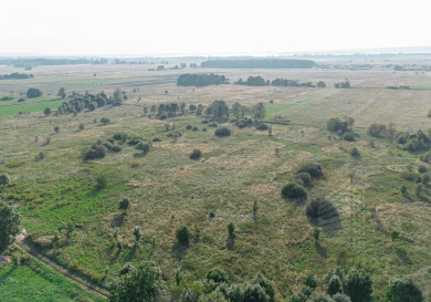 Działka Sprzedaż Rurzyca