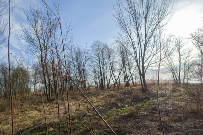 Obiekt Sprzedaż Stepnica