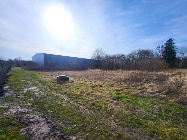 Działka Sprzedaż Koszewo 3
