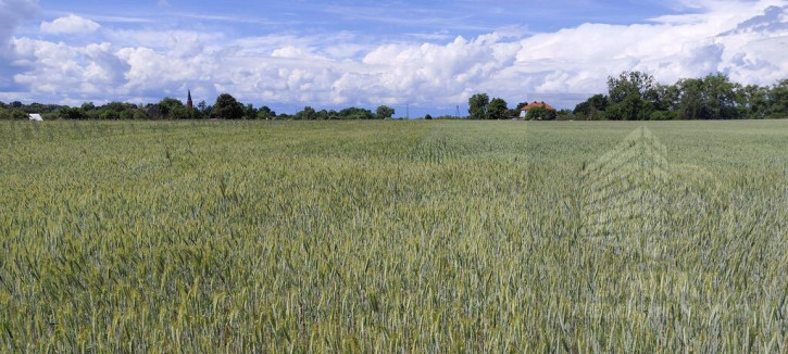 Działka Sprzedaż Żarnowo 3