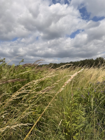 Działka Sprzedaż Niedźwiedź 9