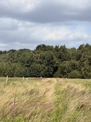 Działka Sprzedaż Niedźwiedź 5