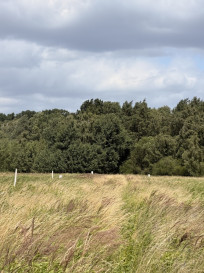 Działka Sprzedaż Niedźwiedź