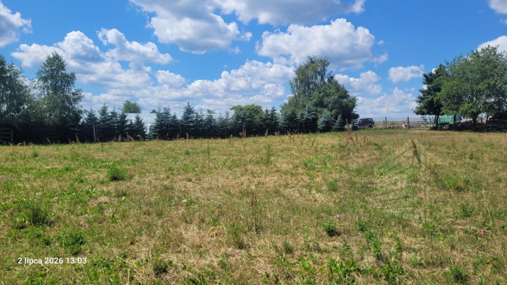 Działka Sprzedaż Wiśniewo 3