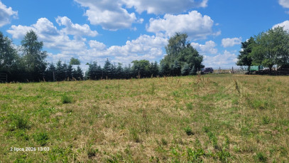 Działka Sprzedaż Wiśniewo