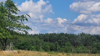 Działka Sprzedaż Wiśniewo