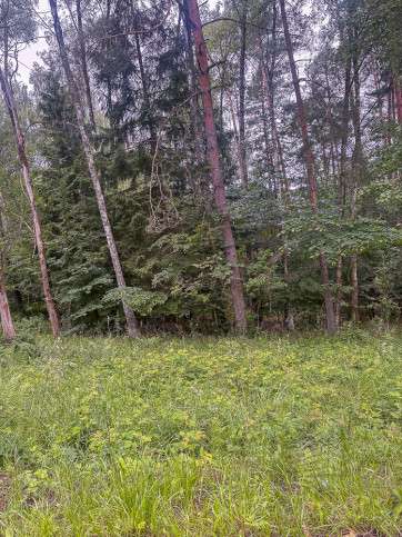Działka Sprzedaż Piaseczno 8
