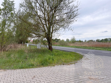 Działka Sprzedaż Szczecin Dąbie Lubczyńska