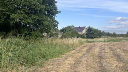 Działka Sprzedaż Tatynia