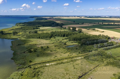 Działka Sprzedaż Wierzbno