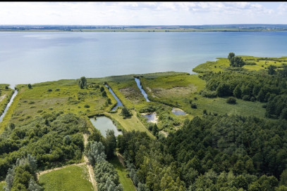 Działka Sprzedaż Wierzbno