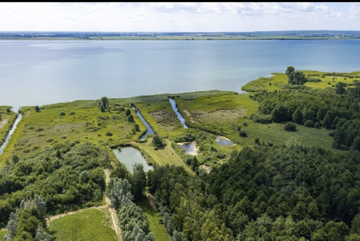 Działka Sprzedaż Wierzbno 7