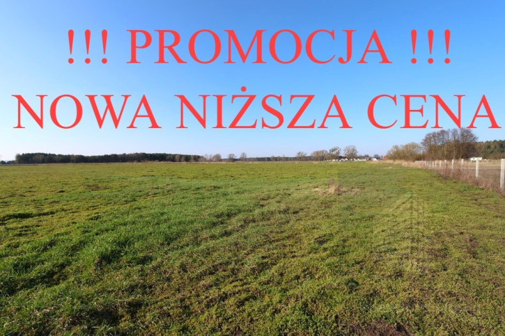 Działka Sprzedaż Lubczyna 1